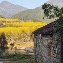 漳州旅游 缩略图 6