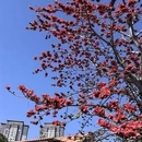 漳州旅游 缩略图 5