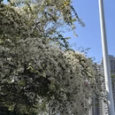 漳州旅游 缩略图 4