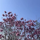 漳州旅游 缩略图 6