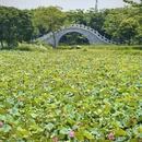 泉州旅游 缩略图 13