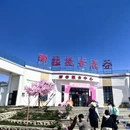 伊犁旅游 缩略图 1