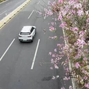 漳州旅游 缩略图 1