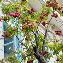 泉州旅游 缩略图 18