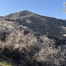 伊犁旅游 缩略图 13