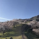 伊犁旅游 缩略图 10
