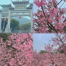 芜湖旅游 缩略图 1