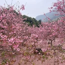 芜湖旅游 缩略图 6