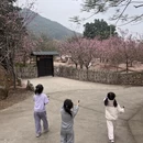 芜湖旅游 缩略图 4