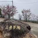 芜湖旅游 缩略图 5
