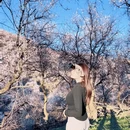 伊犁旅游 缩略图 16