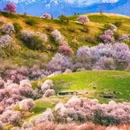 伊犁旅游 缩略图 8