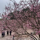 芜湖旅游 缩略图 11