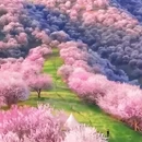 伊犁旅游 缩略图 9