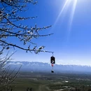 伊犁旅游 缩略图 9
