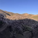 伊犁旅游 缩略图 2
