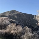伊犁旅游 缩略图 1