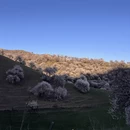 伊犁旅游 缩略图 4