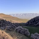 伊犁旅游 缩略图 5