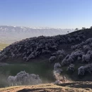 伊犁旅游 缩略图 6
