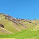伊犁旅游 缩略图 11