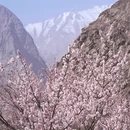 喀什地区旅游 缩略图 3