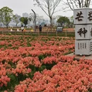 漳州旅游 缩略图 7