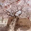 喀什地区旅游 缩略图 3