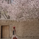 喀什地区旅游 缩略图 5