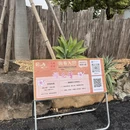 芜湖旅游 缩略图 18