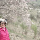 伊犁旅游 缩略图 8