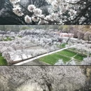 喀什地区旅游 缩略图 2