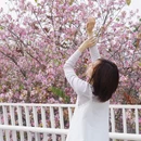 漳州旅游 缩略图 15