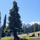 伊犁旅游 缩略图 4
