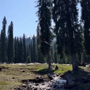 伊犁旅游 缩略图 8