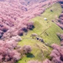 伊犁旅游 缩略图 5