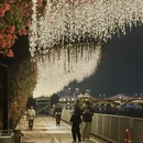 漳州旅游 缩略图 3