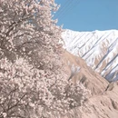 喀什地区旅游 缩略图 15