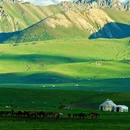 伊犁旅游 缩略图 1
