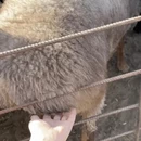 喀什地区旅游 缩略图 12