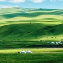 伊犁旅游 缩略图 2