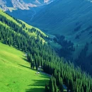 伊犁旅游 缩略图 7