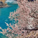 喀什地区旅游 缩略图 2