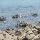 漳州旅游 缩略图 13