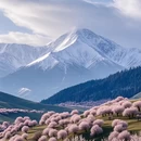 喀什地区旅游 缩略图 4