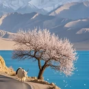 喀什地区旅游 缩略图 6