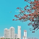 泉州旅游 缩略图 4
