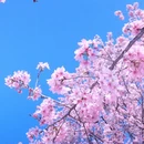 漳州旅游 缩略图 3
