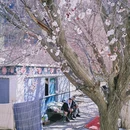 喀什地区旅游 缩略图 2