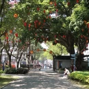 漳州旅游 缩略图 4